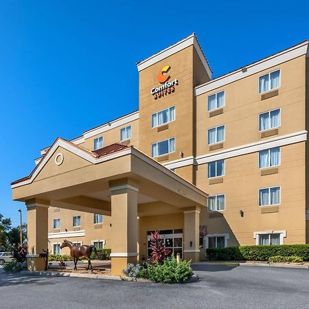 Comfort Suites Ocala North מראה חיצוני תמונה